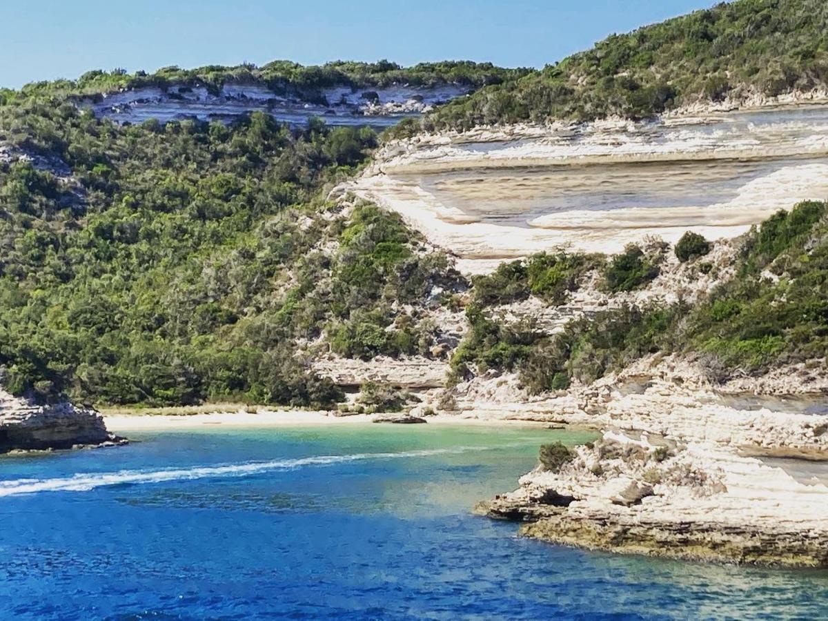 Villas Cala Corsa 4 Chambres Piscine Privee Chauffee - Internet Fibre - Entierement Climatisee A Lecci De Porto-Vecchio Cala Rossa Exteriör bild